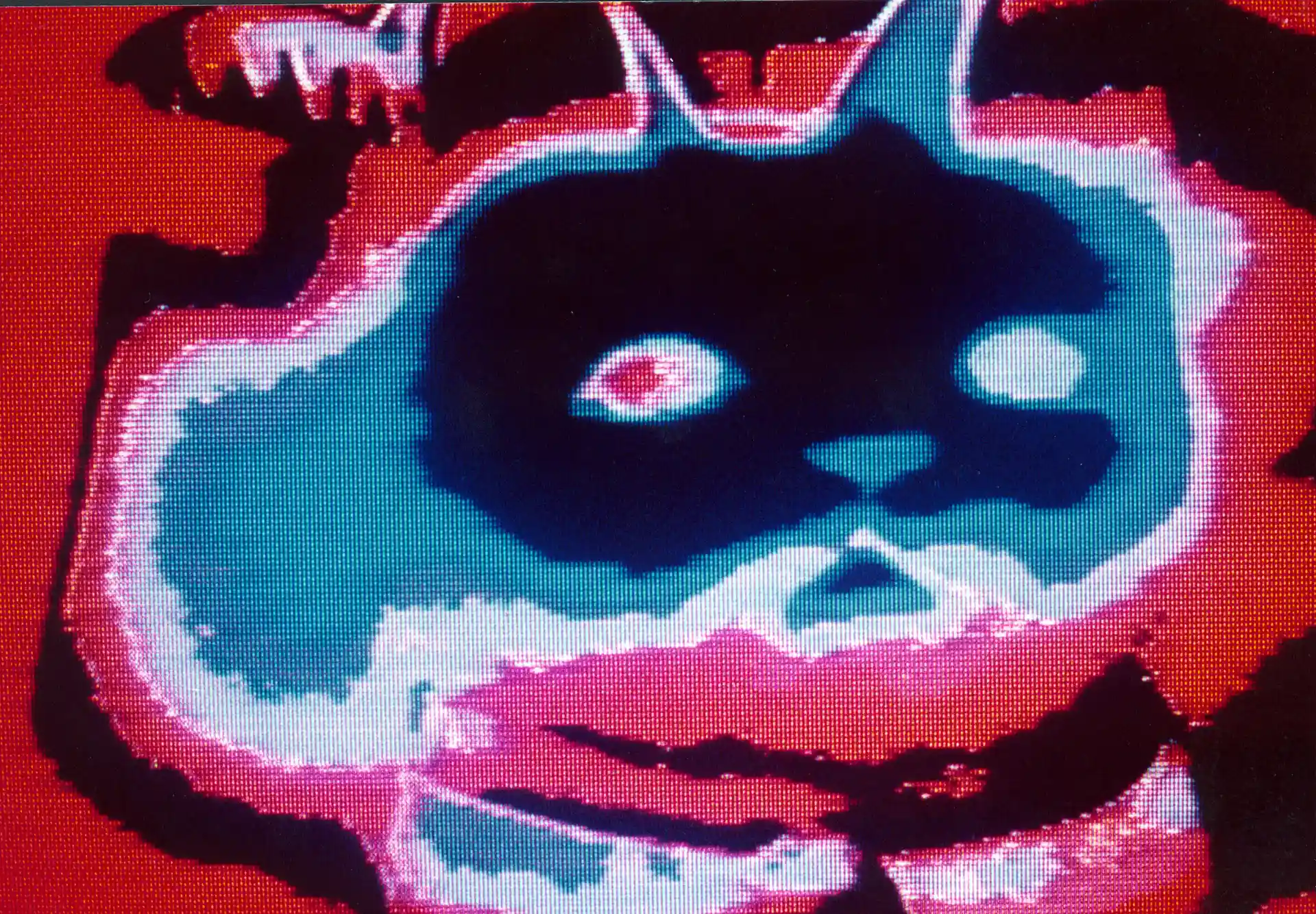 shot 2 from movie Sans Soleil by Chris Marker